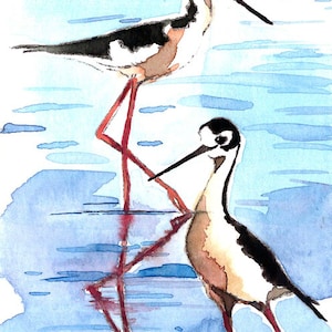 May include: Watercolor painting of two black-necked stilts in a watery environment. The birds have black and white plumage, long red legs, and long black beaks. The background is a light blue with darker blue water reflections. Signed by the artist.