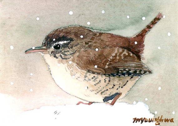 ACEO Limited Edition Wren in summer wood Art card gift idea