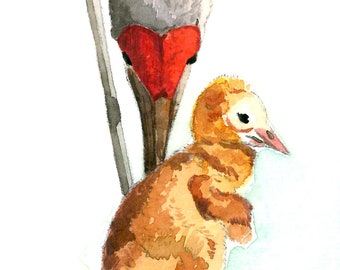 ACEO Limited Edition 1/50 - Baby's first step, Sandhill Crane, Baby bird, Art print of original watercolor ACEO