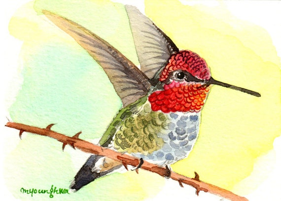 ACEO Limited Edition Hummingbird Art print,Gift for her Little speedy