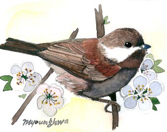 ACEO Limited Edition - Chickadee on a flowering branch