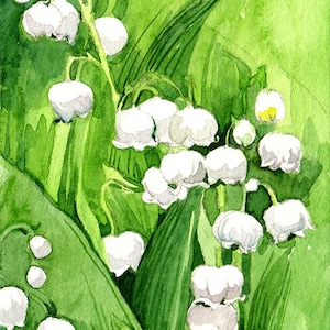 Peut inclure: Peinture à l'aquarelle d'un bouquet de fleurs de muguet blanches avec des feuilles vertes.