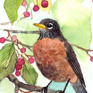 ACEO Limited Edition 25/25- Summer robin,Art print of an ACEO original watercolor, Gift idea for House warming & Bird lovers, American robin