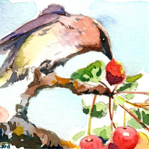 Peut inclure: Peinture à l'aquarelle d'un oiseau perché sur une branche avec des baies rouges. L'oiseau est brun, jaune et bleu avec un long bec. Les baies sont rouges et vertes.