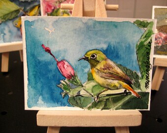 ACEO Limited Edition 4/10- Summer White Eye Birds of South Korea, Art print of watercolor painting by Anna Lee
