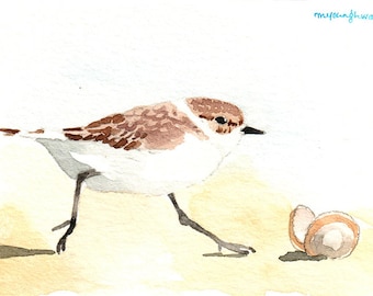 ACEO Limited Edition 6/25- Snowy plover in a sandy beach, Summber shorebird, Gift for bird lovers, Miniature painting, Home decor idea