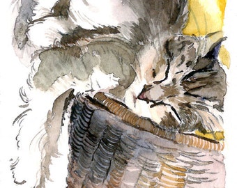 ACEO Limited Edition 7/10- Napping on the Laundry Basket, Art print of ACEO watercolor painted by Anna Lee, Gift idea for Cat lovers