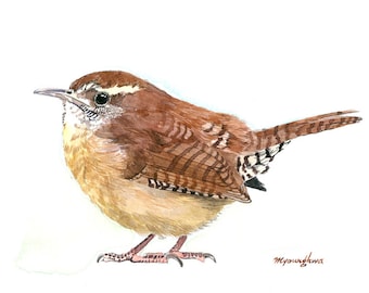 Art print Limited Edition of Watercolor "Tiny Guardian of the Wild" - Carolina Wren Watercolor, Perfect for Bird Lovers & Art Collectors