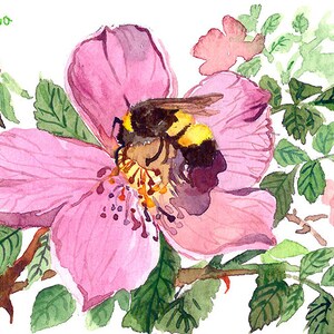May include: A watercolor painting of a bumblebee collecting pollen from a pink flower. The flower has a yellow center and is surrounded by green leaves. The word "mounbhwva" is written in green script in the upper left corner of the image.