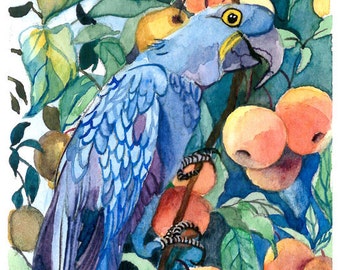 ACEO Limited Edition 5/25- Parrot in My Tree, Bird art print of an original ACEO watercolor, 2.5 x 3.5 inches collectible art, Gift idea