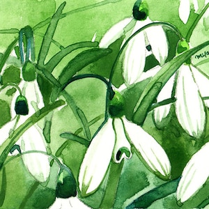 May include: Watercolor painting of snowdrop flowers in a field of green. The white petals of the flowers contrast with the green leaves and stems. The artist's signature, "myaungkhwa," is visible in the upper right corner.