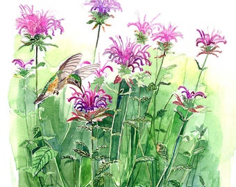 Original watercolor painting 8.5 x 11 inches - Hummingbird garden, in watercolor