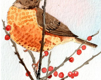 ACEO Limited Edition 10/25- Robin in a winter berry tree, Art print of an ORIGINAL ACEO watercolor painting, Gift for bird lovers