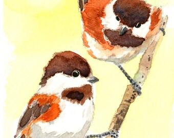 ACEO ORIGINAL watercolor, Chestnut backed chickadee pair, Gift for nature lovers, Miniature painting, Home decor idea