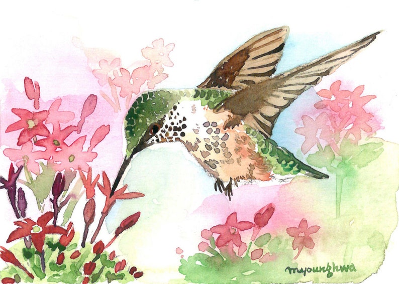 ACEO Limited Edition Hummingbird Art print,Gift for her Little speedy