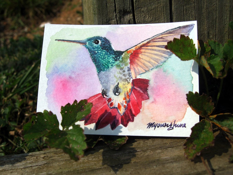 ACEO Limited Edition Hummingbird Art print,Gift for her Little speedy