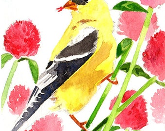 ACEO Limited Edition 1/50, Red clover and goldfinch, Bird lovers, Gift for nature lovers, For her, Bird watercolor