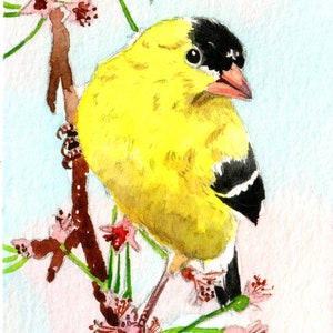 May include: A yellow and black bird perched on a branch with pink blossoms. The bird has a black head and a yellow body with black stripes. The background is a light blue and pink watercolor wash.
