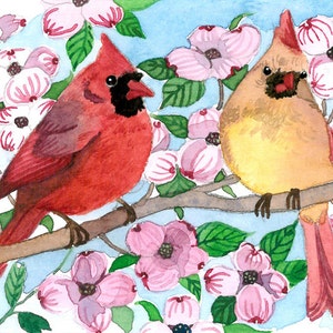 May include: Watercolor painting of two cardinals perched on a branch with pink dogwood blossoms and green leaves. One cardinal is red with a black mask, the other is tan. The background is light blue.