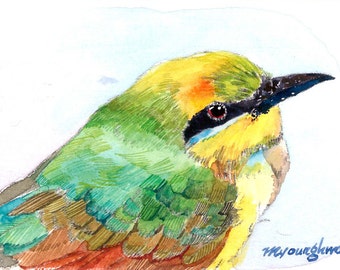 ACEO Limited Edition - My feathered friend