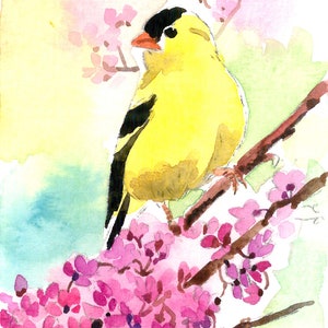May include: A watercolor painting of a yellow bird with a black head perched on a branch with pink flowers. The bird is facing left and the flowers are in bloom. The artist's signature, "Myounghwa", is in the top left corner of the painting.