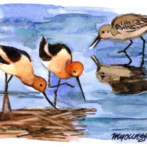May include: Watercolor painting of shorebirds in a blue and white water scene. Three birds with orange and black markings are clustered near a nest of twigs, while a fourth bird stands nearby. The artwork is signed in the lower right corner.