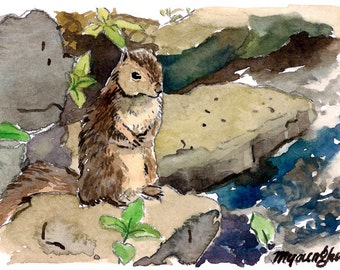 ACEO Limited Edition 2/25- ~Squirrel Contemplation~ in watercolor