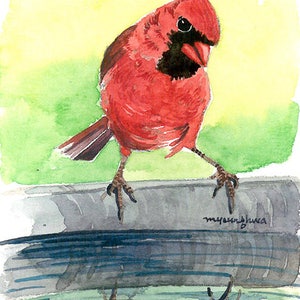 May include: Watercolor painting of a red cardinal bird with a black face, perched on a gray surface. The bird's reflection is visible in the water below. The background features green and yellow watercolor washes. The artist's signature is visible.