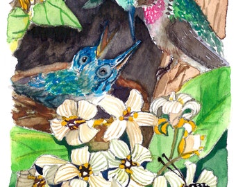 ACEO Limited Edition 1/50- Our Secret Place, Hummingbird nest, Bird art print of original watercolor ACEO painting, Gift for bird lovers