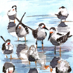 ART PRINT - &quot;Shorebirds in winter shore&quot;, Black Skimmers, Gift for bird lovers, Art print of an original  watercolor
