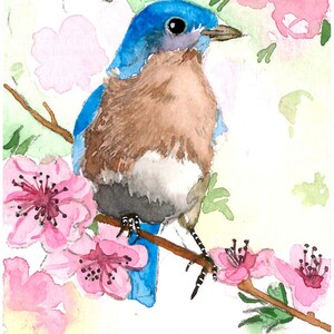 ACEO Limited Edition 10/25 Bluebird of spring,Bird art print of an ACEO original watercolor painting by Anna Lee, Gift idea for bird lovers image 2