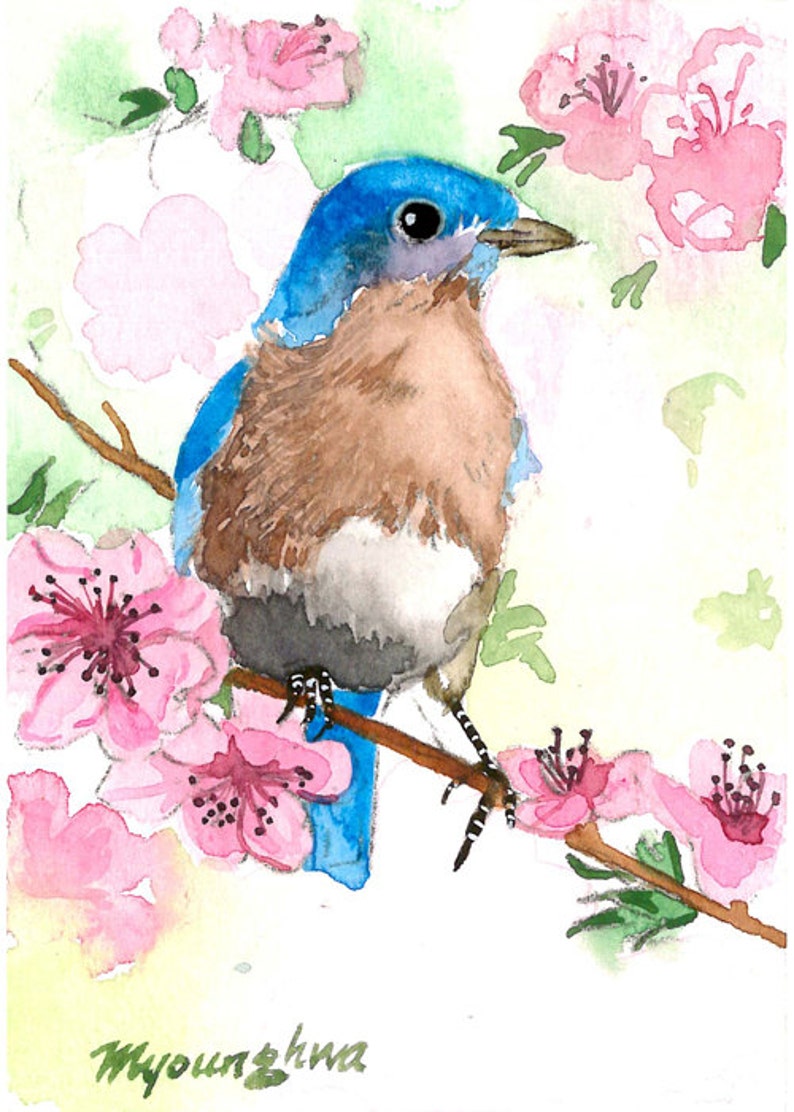 ACEO Limited Edition 10/25 Bluebird of spring,Bird art print of an ACEO original watercolor painting by Anna Lee, Gift idea for bird lovers image 2