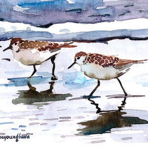 Peut inclure: Peinture à l'aquarelle de deux petits oiseaux aux marques tachetées marron et blanches, marchant dans l'eau peu profonde. Les oiseaux se reflètent dans l'eau, avec un ciel bleu et gris en arrière-plan. La signature de l'artiste est en bas à gauche.