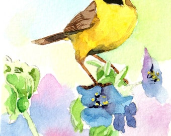 ACEO ORIGINAL BIRD watercolor, Yellow bandit, Common yellowthroat, House décor idea, Gift for Bird lovers, nature lovers, Bird watercolor