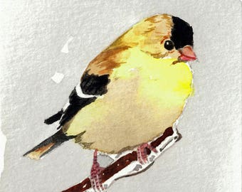 ACEO Limited Edition 8/25- In the winter sunlight, Goldfinch in winter, Bird print of an ACEO original watercolor, Gift idea for bird lover