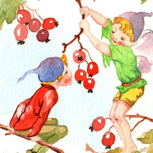 May include: Two fairies, one in red and one in green, are perched on a branch of a bush with red berries. The fairy in red is looking at the berries, while the fairy in green is reaching for them. The background is white with a few leaves.