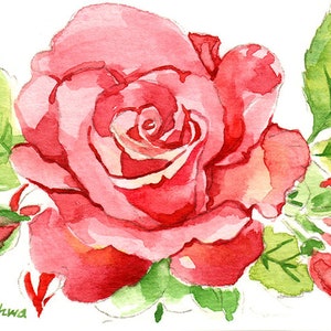 May include: Watercolor painting of a vibrant pink rose in full bloom, surrounded by green leaves. The artwork showcases the delicate petals and intricate details of the flower, with a soft, artistic style. The artist's signature is visible in the lower left corner.