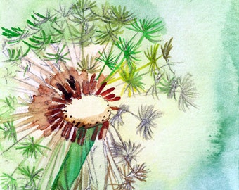 ACEO Limited Edition 2/50- Dandelion, Flower art print of an ACEO original watercolor, Gift idea for nature lovers