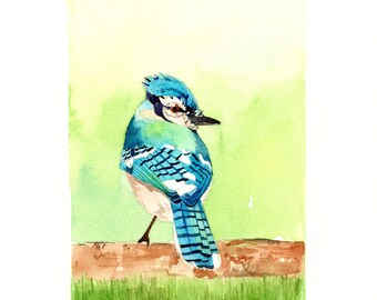 Original Watercolor Painting Blue Jay Perching 5x7 Inches - Etsy