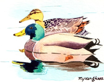 ACEO Limited Edition 1/50- Mallard duck pair, Gift idea for bird lovers, Art print of original ACEO watercolor