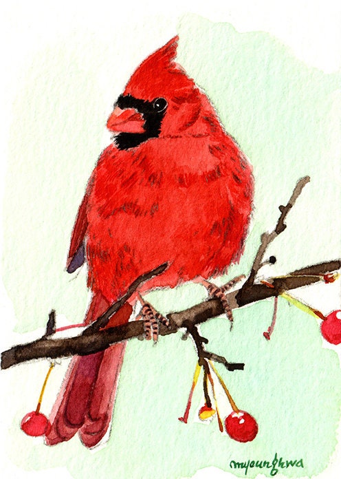 ACEO Limited Edition 1/50- Cardinal Perching, Cardinal in Berry, Gift ...