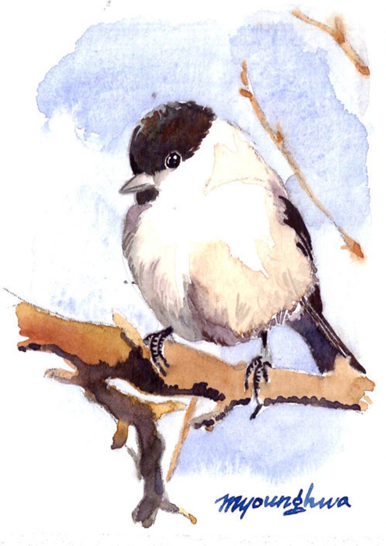 Gift for bird lovers Chickadee in summer wood ACEO Limited Edition Bird art