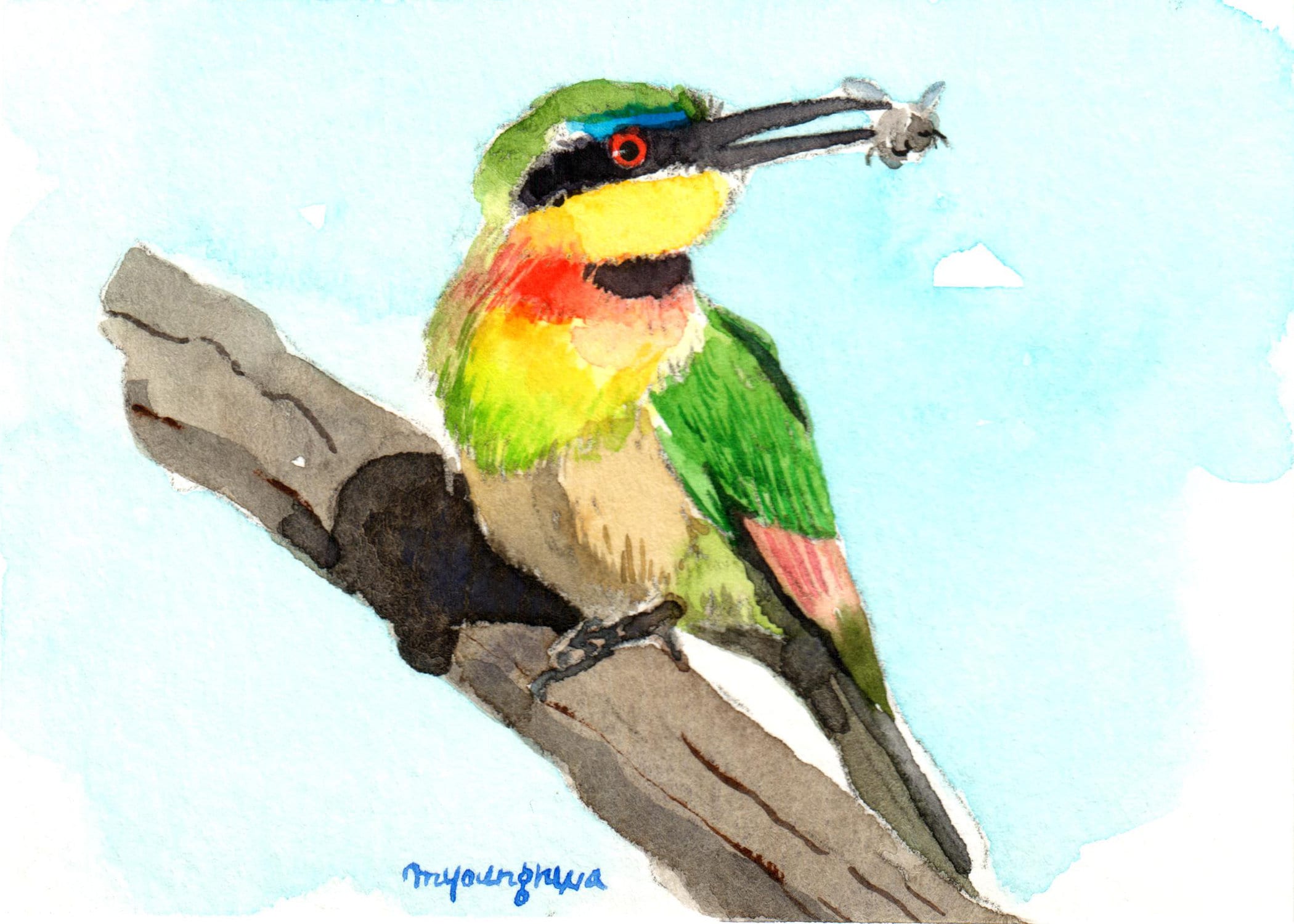 ACEO Limited Edition Rainbow bee eater Art print 2.5x3.5