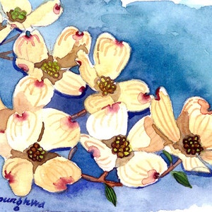 ACEO Limited Edition 8/25- Square Dance, Hartriegel Blumenmalerei, Kunstkarte eines original Aquarells von Anna Lee, Einweihungsgeschenk