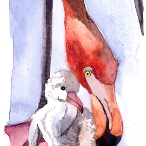 Édition limitée ACEO 25/2 - Le plus récent flamant rose, impression d'art d'oiseau d'aquarelle originale d'ACEO, amateurs d'oiseaux, décoration murale, art de collection