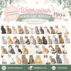 Aquarell Katze Clipart Bundle | Mischlinge PNG (Digital Download)