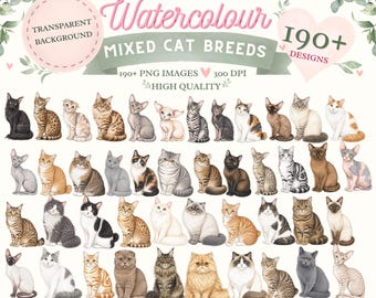 Watercolour Cat Clipart Bundle | Mixed Breeds PNG (Digital Download)