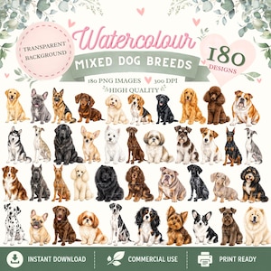 Paquete de imágenes prediseñadas de razas de perros mixtas en acuarela – 180 imágenes PNG – Uso comercial – Fondo transparente