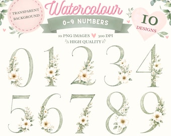 Sage Green Watercolour Floral Numbers Clipart | Elegant Botanical Graphics (Digital Download)