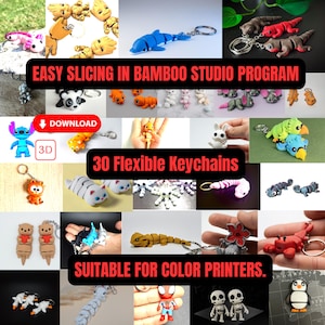 Puede incluir: Una colección de 30 llaveros flexibles impresos en 3D con varios diseños de animales y personajes, incluyendo un delfín azul, un panda, un lagarto y un esqueleto. La imagen incluye el texto EASY SLICING IN BAMBOO STUDIO PROGRAM y 30 Flexible Keychains.